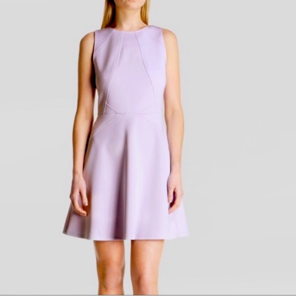Ted Baker London Lilac Dress (size 6)